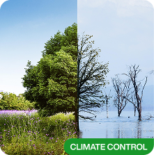 Storage units protected with climate control in Dubai facility